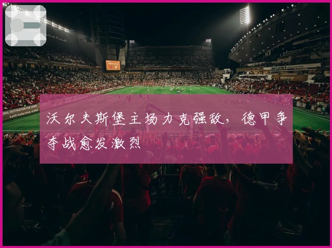 沃尔夫斯堡主场力克强敌，德甲争夺战愈发激烈