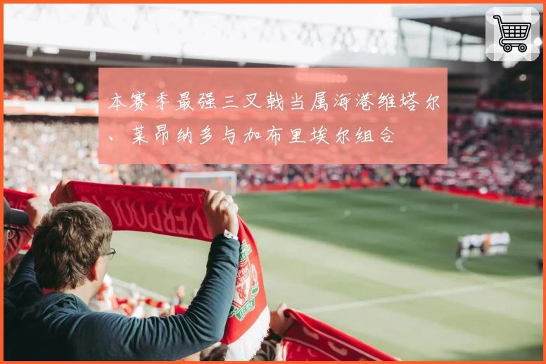 本赛季最强三叉戟当属海港维塔尔、莱昂纳多与加布里埃尔组合