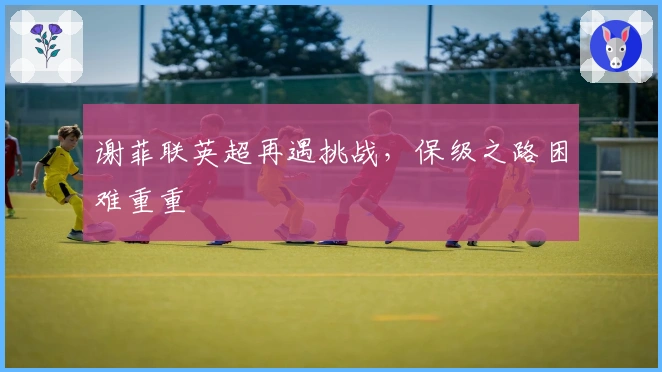 谢菲联英超再遇挑战，保级之路困难重重